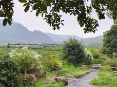 -中国茶叶博物馆(双峰馆区)
