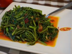马来风光-文东记(马里士他路)