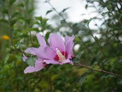 -白塘生态植物园