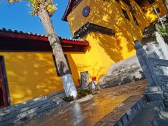 -鸡鸣赐茶(鸡鸣寺路店)