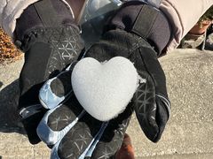 -白川乡与五箇山的合掌构造村落