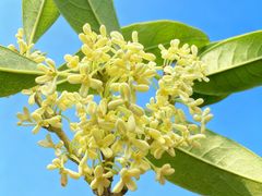 -易裕和·长沙米粉(友谊路店)