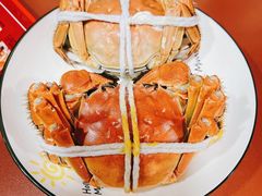-黄记大闸蟹专卖店·活蟹·醉蟹