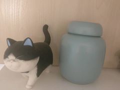 -彩虹桥宠物火化殡葬善终服务(金乐大厦店)