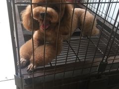 -沐沐家宠物(成寿寺店)