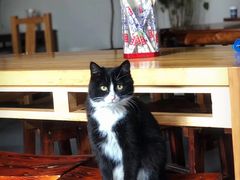 -新疆狼爷烤肉(宋庄店)