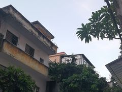 -佛山华盖山公园