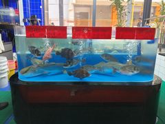 -明本湛江鸡•海鲜小厨(陈家祠店)