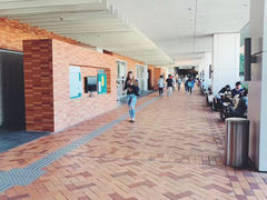 -香港大学