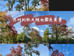 -苏州图书馆(人民路总馆)