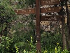 -佛慧山