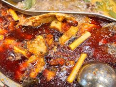 -肖肖酸萝卜鱼火锅(总店)