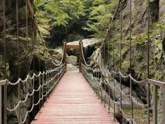 -牛背梁国家森林公园