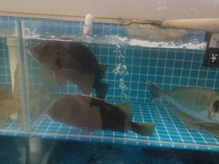 -聚德福海鲜家常菜(刘庄店)