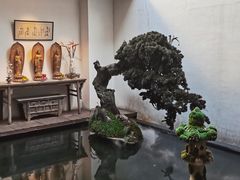 -觀芷隐轩