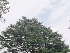 -青岛德国总督楼旧址博物馆