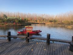 -合肥滨湖国家森林公园