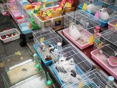 -青石桥花鸟鱼虫市场(叠翠城店)