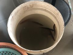 -特色东香泥鳅面螺丝面(金马小区店)
