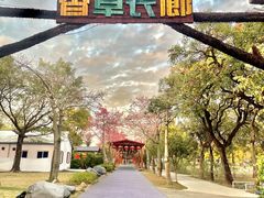 -广东花都香草世界旅游度假区
