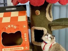 -鱼上·烤鱼(万象城店)