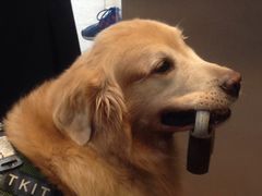 -BreadTalk面包新语·烘焙蛋糕(高德置地春广场店)