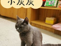 -七色云蔬食(喜邻里店)
