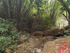 -大雁山风景区