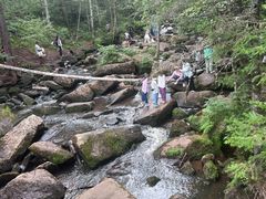 -汤旺河林海奇石景区