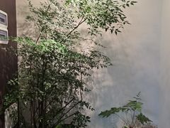 -四方茶集·茶馆(南山科技园店)
