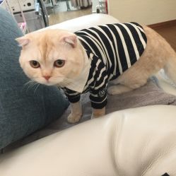 iphone_upload_pic-EasyLady美甲沙龙