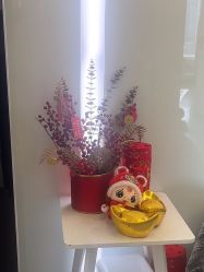 -SKIN79皮肤管理中心