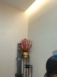 -苑苑vbeauty科技美容SPA