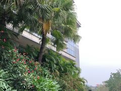-月色西餐厅·海鲜刺身·烧烤(科学城保利郡雅酒店)