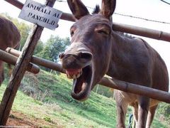 -南京金牛湖风景区