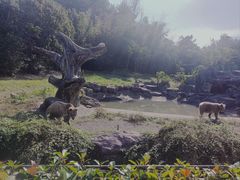 -宁波野生动物园