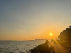 -深圳湾公园(南山区)