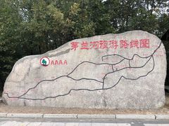 -茅兰沟国家森林公园