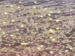 -上海植物园-4号门售票处