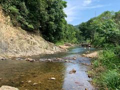 -北仑森林植物园