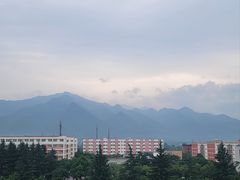 -都江堰石锅鱼