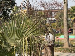 -桃园农庄·桃源宴