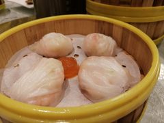 -海皇食府(水都假日酒店店)