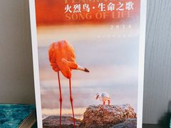 -好利来(SM空港店)