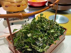 -华膳楼·安徽地标美食·中华餐饮名店(文化公园店)