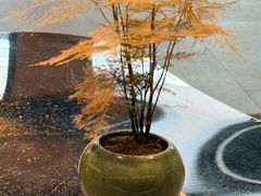 -YOLO COFFEE悠乐咖啡