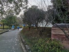 -山湖温泉