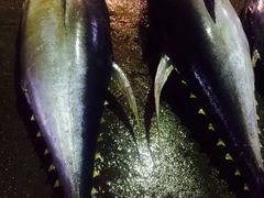 -尼甘布海鲜市场