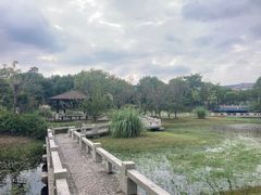-长广溪湿地公园