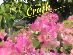 -厦门轮渡码头